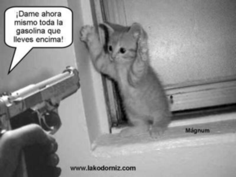 Esto es un atraco