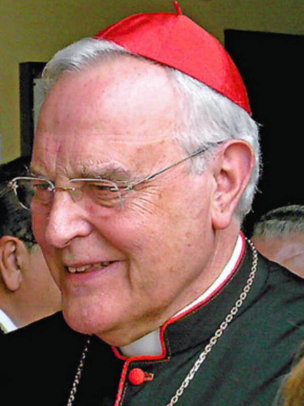 CARDENAL AMIGO VALLEJO: La sangre de los mártires españoles debe ser semilla de nuevos cristianos.