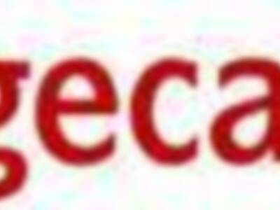 Competencia reconoce el derecho de Sogecable a explotar los derechos del Real Madrid para la temporada 2008/2009