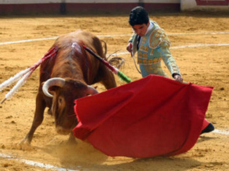 El novillero sevillano Miguel Ángel Delgado sumará esta temporada, al menos, 42 novilladas
