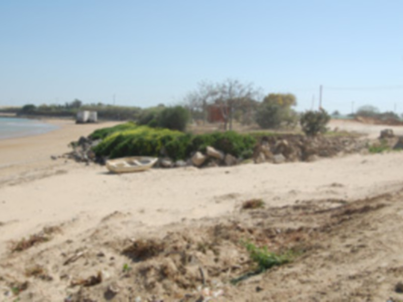 Los ecologistas de Chipiona denuncian la pérdida de una parte de playa Micaela .-