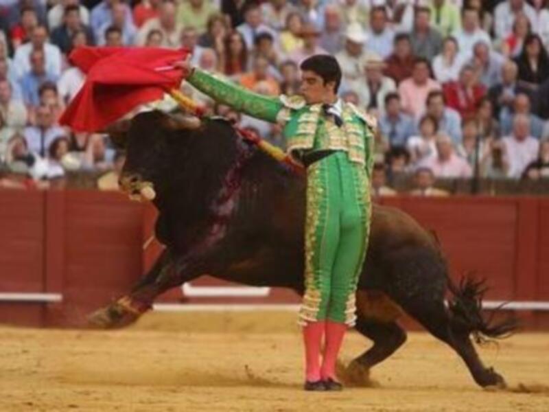 Perera a hombros en Almendralejo