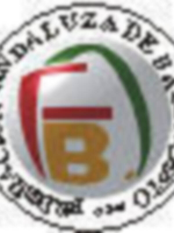 Baloncesto de altura con el campeonato de Andalucía junior masculino