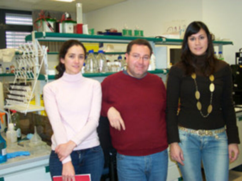 La Fundación Areces financia con 92.242 euros un proyecto de investigación de la UPO sobre Aprendizaje y Memoria