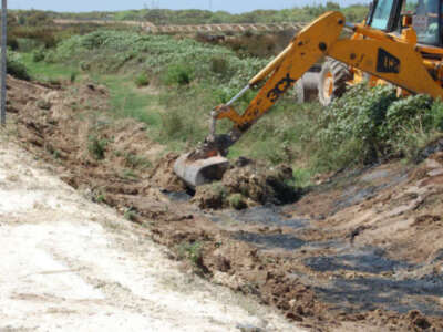Destrozo ecológico en Chipiona