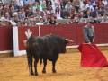 Un toro negro se enfrenta a un matador con una capa roja en una plaza de toros. La audiencia observa atentamente el combate.
