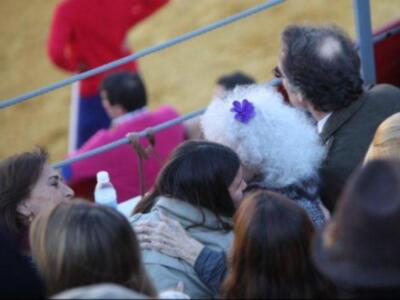 Eva González fue a la plaza a ver torear a su novio Cayetano 