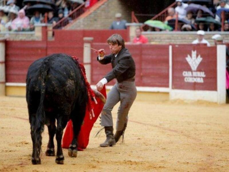 Festival contra el cáncer en Córdoba 