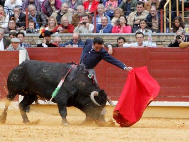 Festival contra el cáncer en Córdoba 