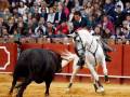 Un torero monta un caballo blanco mientras lucha con un toro negro en una plaza de toros. La audiencia observa atentamente la acción.
