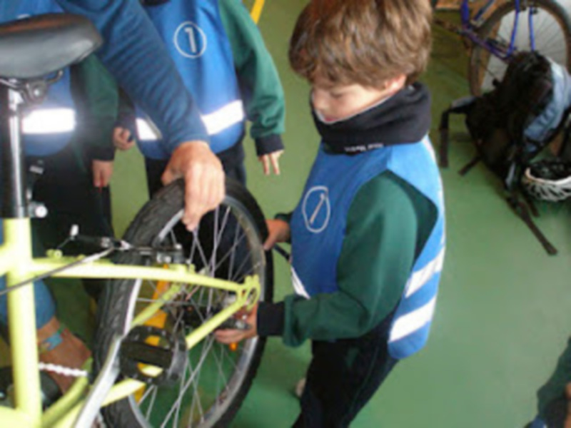 Un taller acercará el mundo de la bicicleta a un centenar de alumnos(Chipiona) 