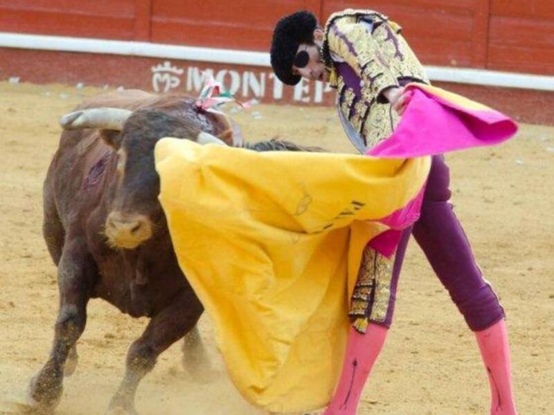 La duquesa de Alba reanuda su vida en Sevilla tras la luna de miel