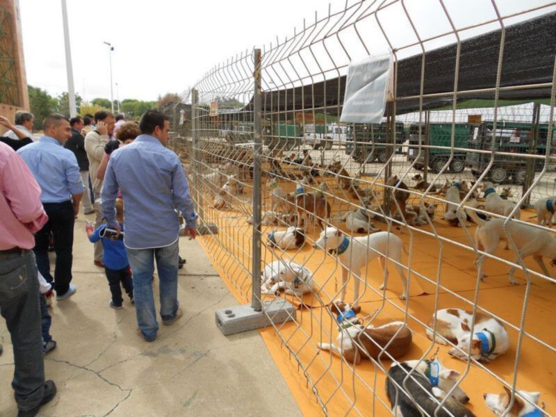 FIBES estrena una nueva feria: Surcaza, I salón de la caza mayor y menor