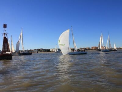 El 'Idefix' se proclama vencedor del 47º Ascenso a vela del río Guadalquivir