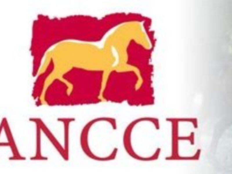 Así será el SICAB 2012. El Alcalde de Sevilla presidirá el acto inaugurar del Salón Internacional del Caballo hoy martes a las 20:00 horas.
