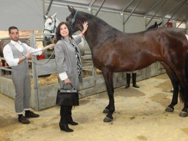 Carmen Martínez Bordiú inaugura el salón del caballo en Sevilla
