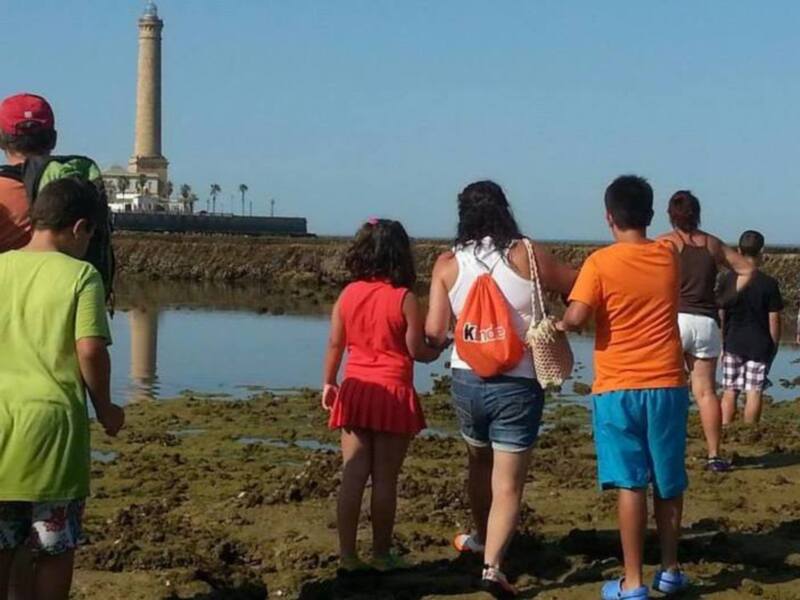 Turismo y JARIFE ofrecen visitas guiadas a los corrales de pesca durante el verano(Chipiona)