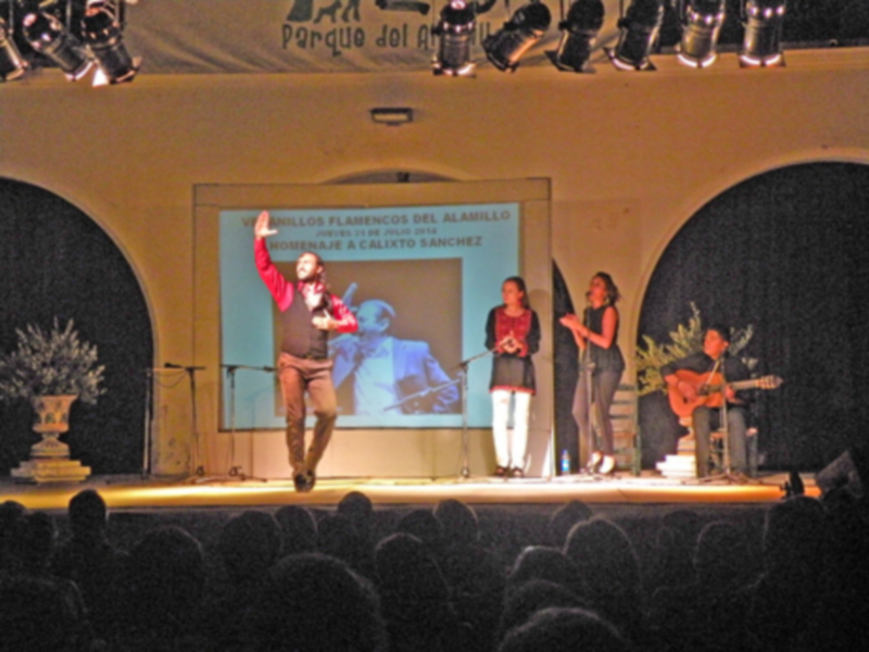 SEVILLA.  Veranillo flamenco en el cortijo del Alamillo. 2014