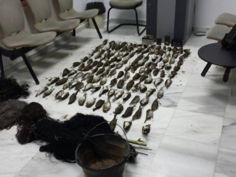 La Guardia Civil detiene a tres vecinos de Chipiona por el montaje de redes y captura ilegal de aves. 