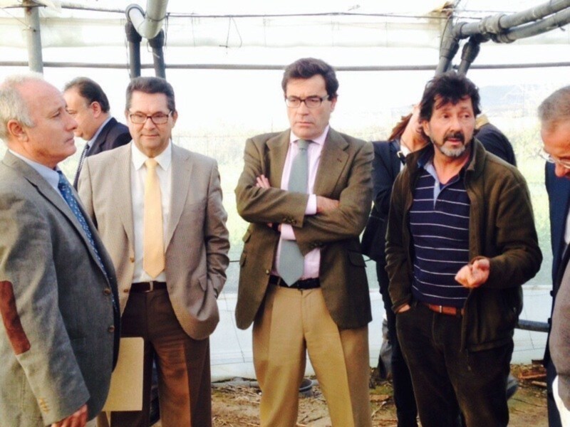 El Secretario General de Agricultura afirma que la rebaja del IVA debe ayudar a que la flor cortada recupere su lugar en el mercado internacional(Chipiona) 