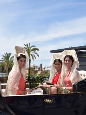 Sevilla.  30 años de Exhibición de Enganches en el albero Maestrante sevillano. 