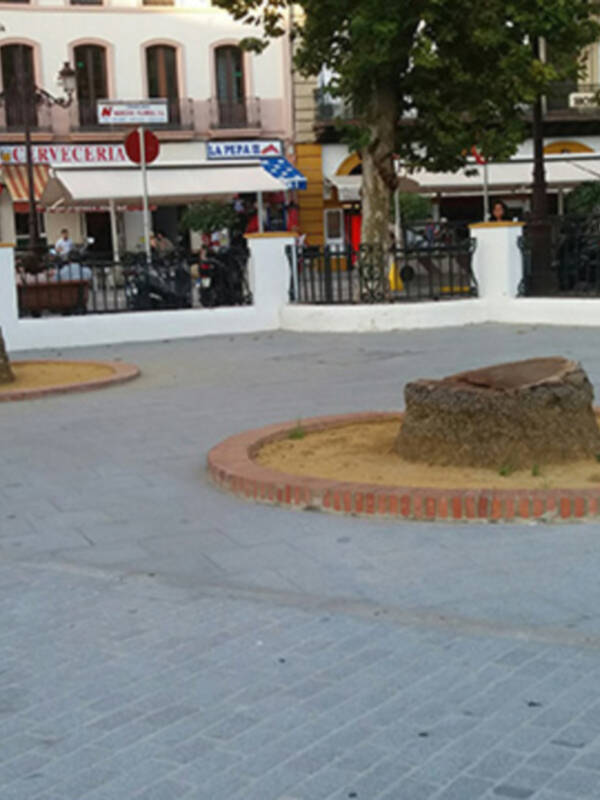 El paisaje urbano de Sevilla pierde palmeras 