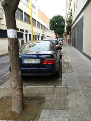 El árbol como anuncio