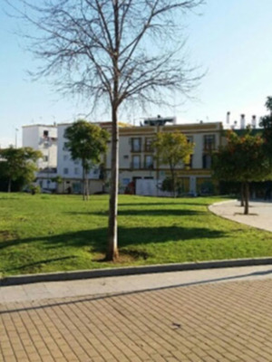 Sevilla a nivel europeo en superficie de zona verde por habitante.