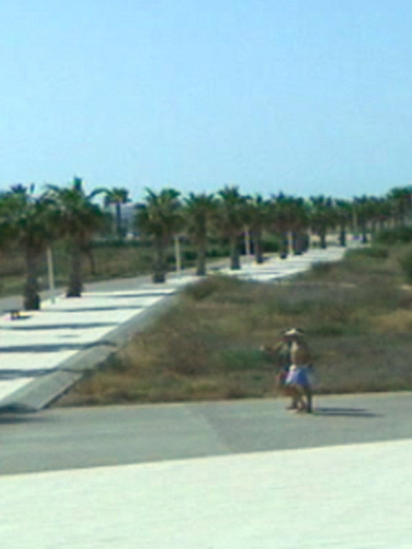La Junta saca a la venta tres parcelas en Costa Ballena Chipiona que suman casi 84.000 metros cuadrados
