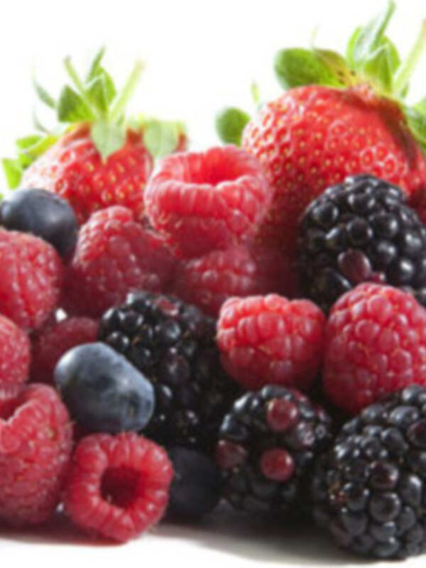 Ayuntamiento y Consejo Local Agrario profundizan en las posibilidades de la implantación de cultivos de frutos rojos