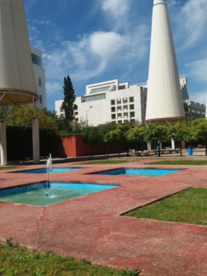 Cartuja Avenida II - 2016