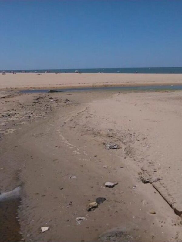 IU exige al gobierno local (PSOE) que asuma responsabilidades por las aguas fecales en la playa de Las Piletas(Sanlúcar de Bda.)   