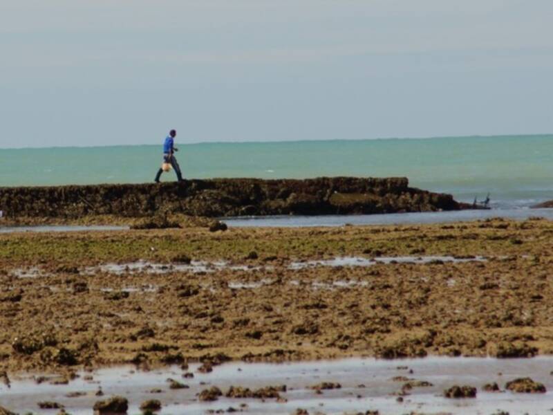 Chipiona será sede de una jornada para la sostenibilidad de la pesca costera y artesanal