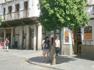 Los turistas buscan la sombra de los árboles en las calles de Sevilla