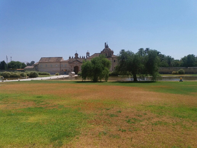 El Centro Andaluz de Arte Contemporáneo una opción cultural consolidada.