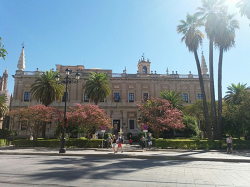 El árbol de Júpiter florece durante el verano en Sevilla