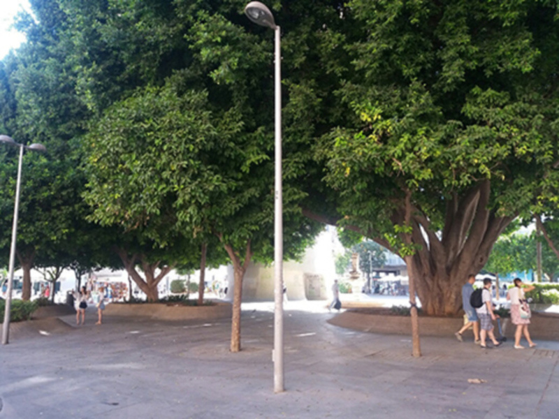 La sombra en la Plaza de la Encarnación
