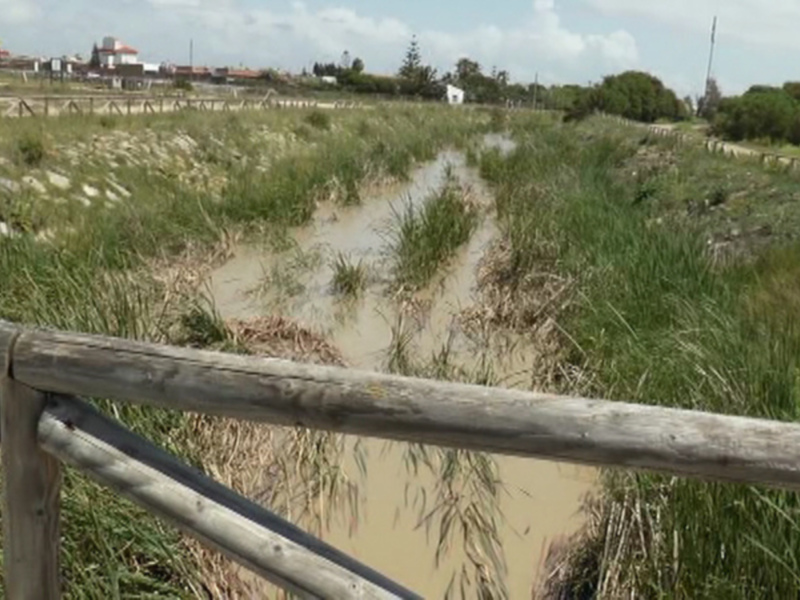 La Junta deniega a Chipiona la ayuda por las inundaciones de mayo al no existir reclamaciones particulares de agricultores