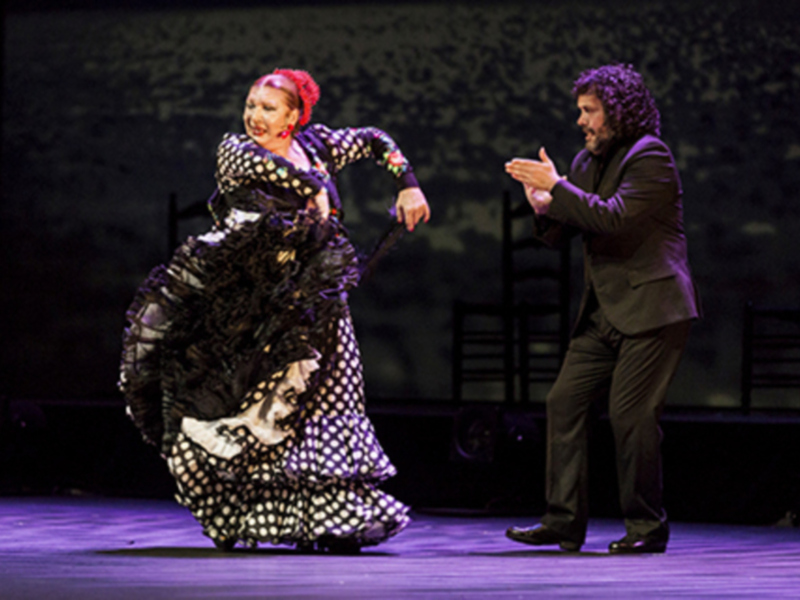 El flamenco de Málaga, Jerez y las Tres Mil viviendas desembarca en el Hotel Triana.