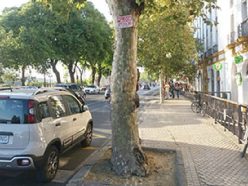 Accesibilidad y discapacidad en las calles de Sevilla