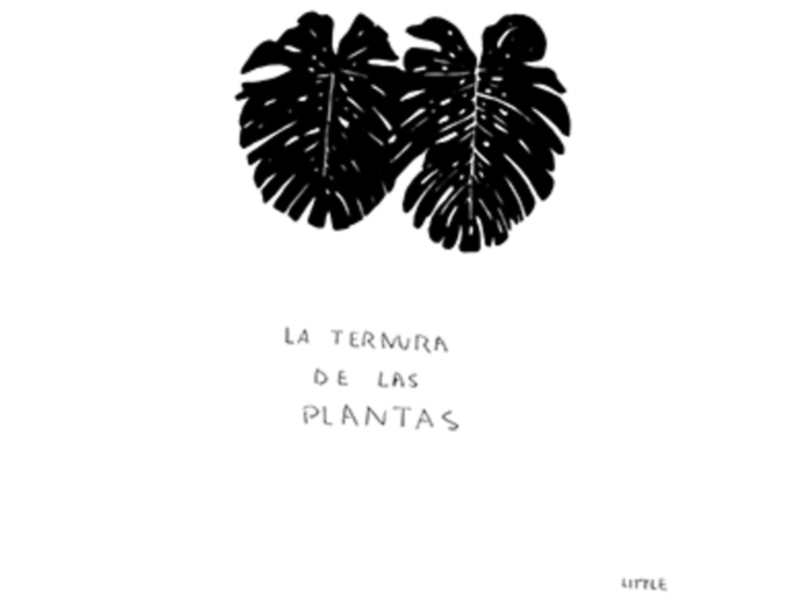 Bier Kraft, el Bar- Tienda de cervezas artesanas de Sevilla estrena la exposición de Pablo Little: “Mira como vuelo”