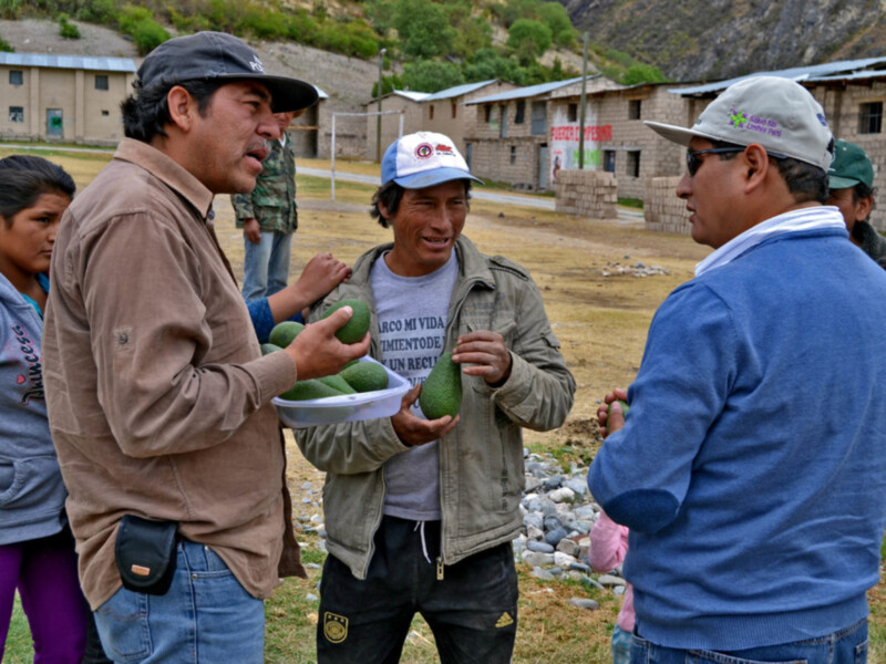 530 familias del Ande peruano mejoran su economía con el apoyo de Madre Coraje y la Fundación la Caixa