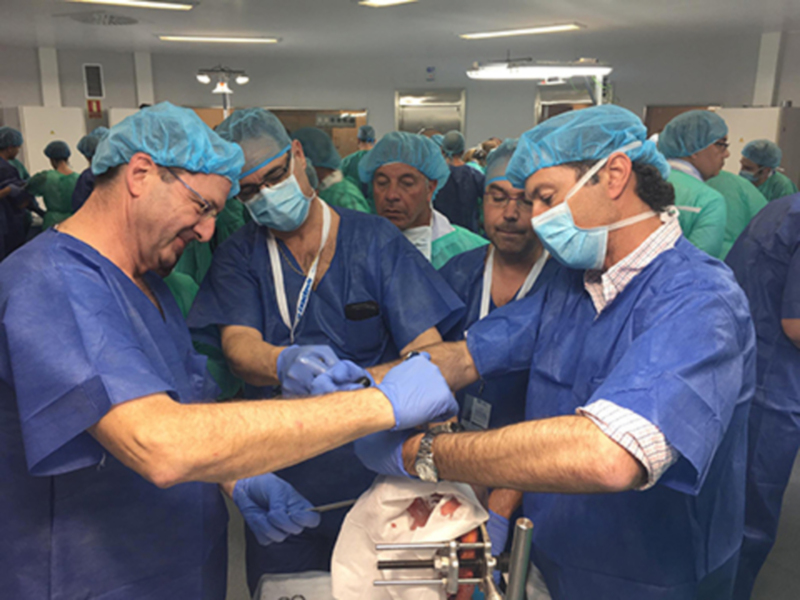 El Hospital Vithas Nisa Sevilla acoge la organización de un curso teórico práctico sobre artroplastia de hombro