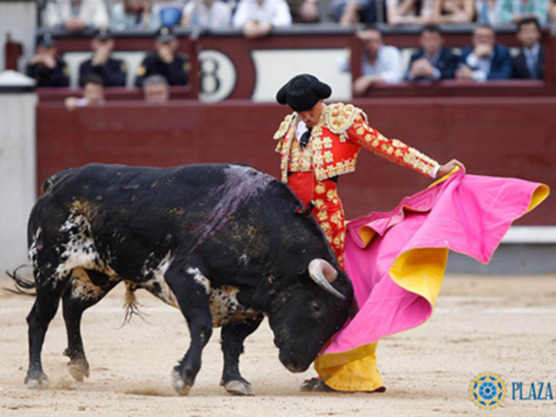 Feria de San Isidro Madrid, 30 de mayo de 2017.