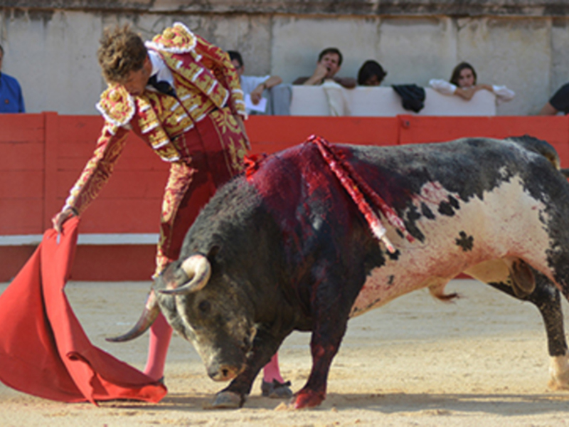 Manuel Escribano corta la primera oreja de la feria de Nîmes