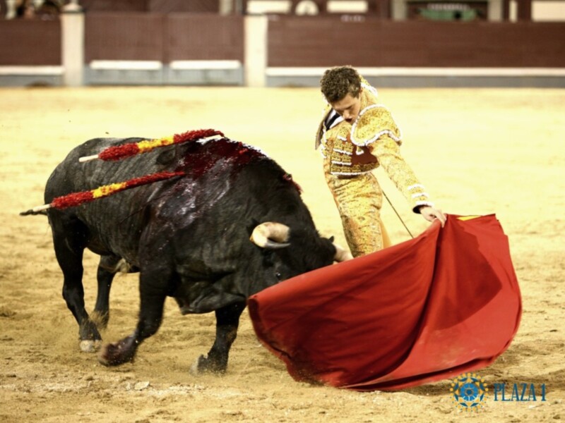 Adrien Salenc saluda dos ovaciones en la primera del Certamen Internacional de Novilladas Nocturnas
