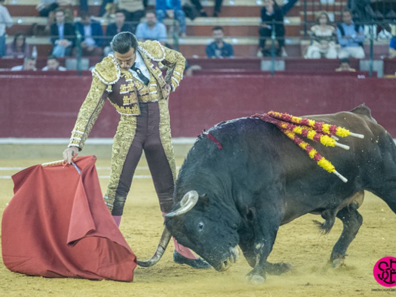 Oreja para David Mora y Luis David Adame ante el debut con nota de Robert Margé