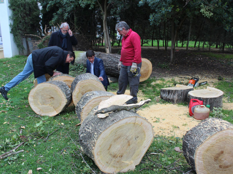 Parques y Jardines se refuerza