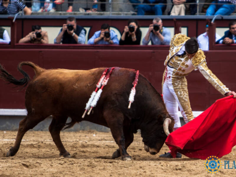 Destaca Miguel Ángel Pacheco que saluda dos ovaciones