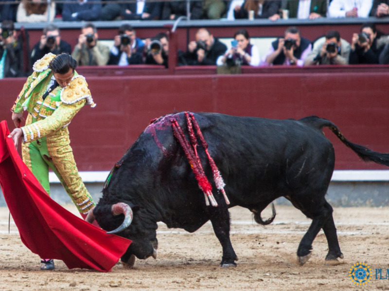 David Mora y Juan del Álamo saludan ovación